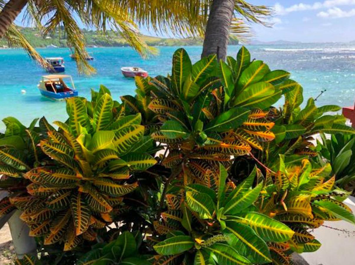 Friendship Bequia Beachfront Villa Hotel מראה חיצוני תמונה